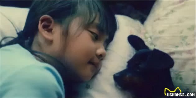 该不该让孩子养宠物,宠物陪伴孩子成长,对孩子到底有什么影响?