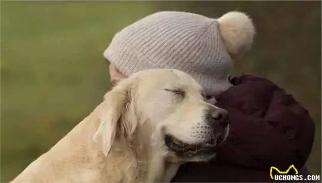 辟谣，为狗断尾无法治疗犬追尾行为，关键需正确缓解爱犬心理负担