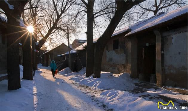 小胡同大战群狗，大黄狗雪夜护主