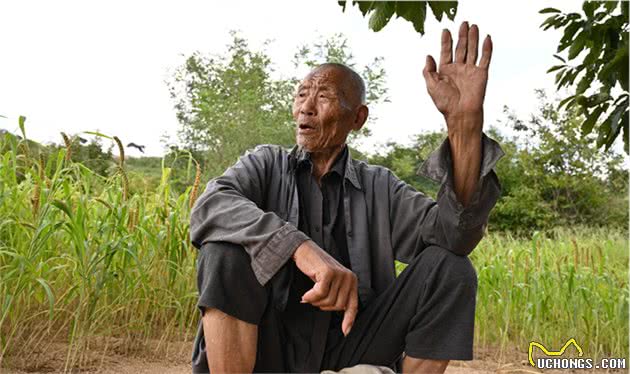 山东82岁老人，独居深山养老，野菜地瓜当主食，养2条小狗作伴