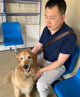 江苏首只导盲犬退休啦，原来只有曾寄养家庭放弃，别人才能领养