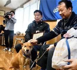 狗狗不小心帮忙破案了，警局奖励一包狗粮，上台领奖时太滑稽了