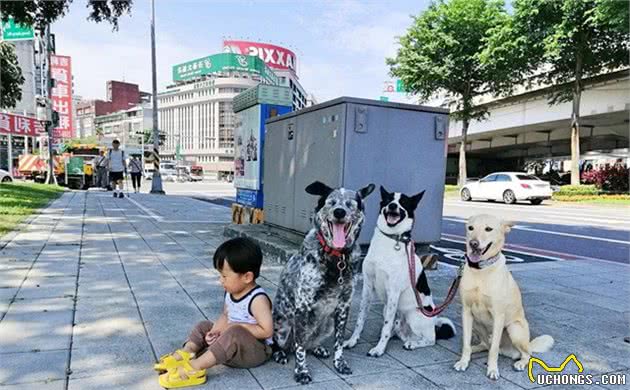 狗狗出门不好控制？大爷拿出一个篮子后，狗子竟立刻乖巧了