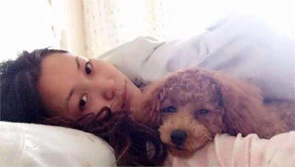 泰迪犬与主人感情好，会体现在这6件小事上，你家的有几个呢？