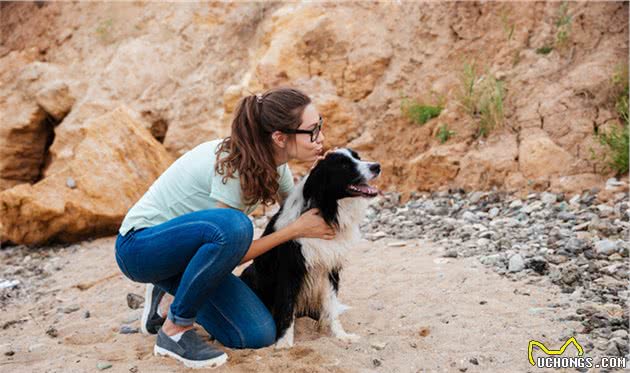 最温顺的6种中大型犬，超适合陪伴孩子一起长大