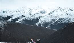 川西自驾?带上狗狗去旅行，ins风自由行，川西冷噶措