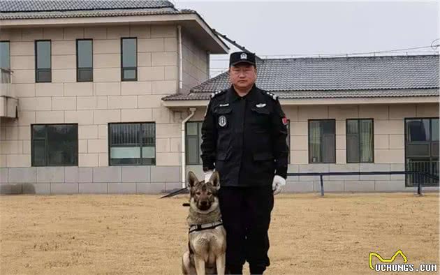 警犬立功！天龙、贝克你们好样的！