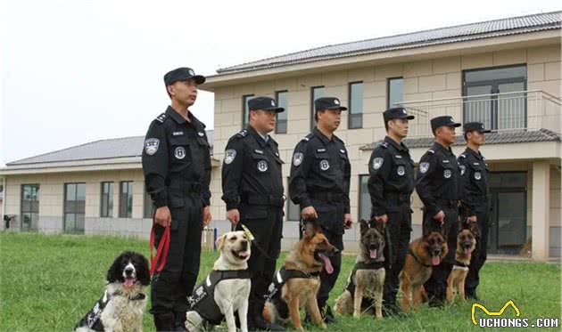 警犬立功！天龙、贝克你们好样的！