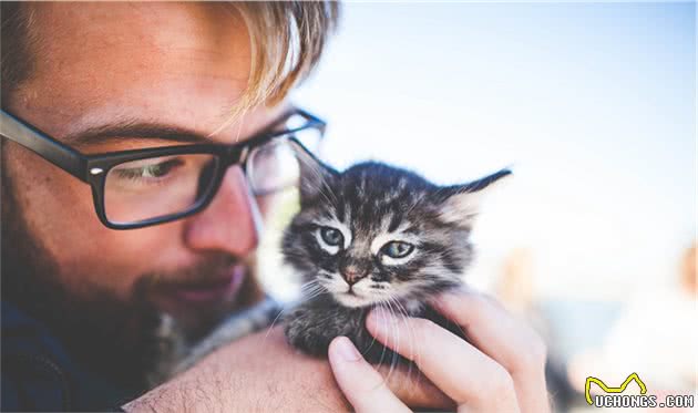 你的抱猫咪姿势正确吗？小心主子的喵喵拳！四步教你轻松抱猫