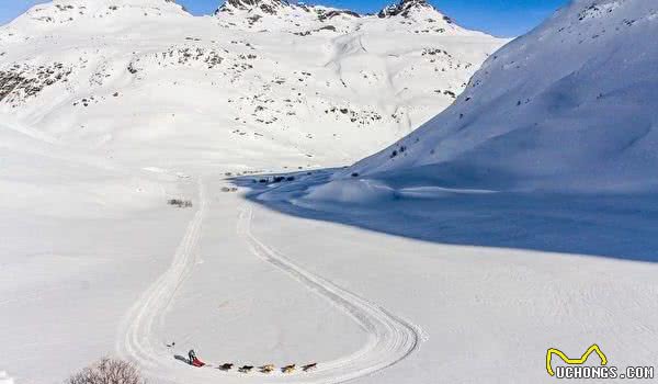 世界级雪橇狗大赛法国雪景美不胜收