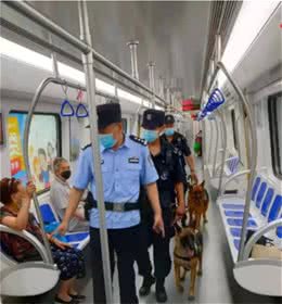 警犬来地铁“上班”啦~