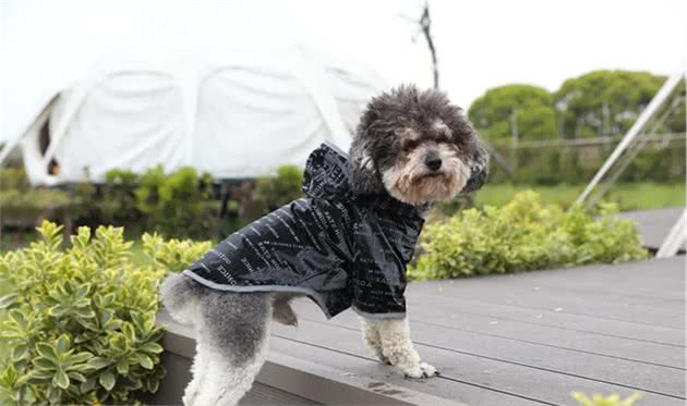 好的狗雨衣应该是什么样子的？