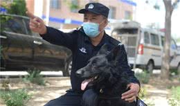 如果这些狗狗当警犬，你知道有什么后果吗？