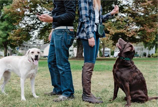 为什么训犬师男的多？难道训狗还要看性别？男女训犬确实不一样！