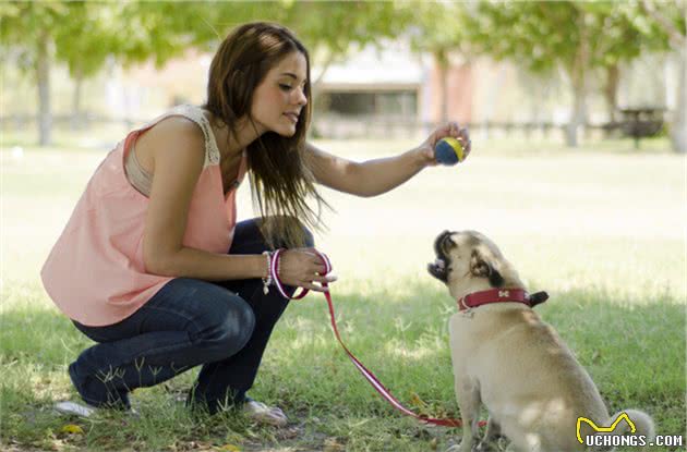 为什么训犬师男的多？难道训狗还要看性别？男女训犬确实不一样！