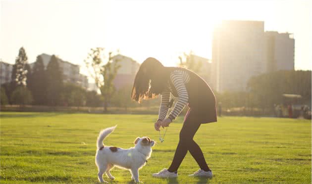 养猫养狗竟能让人更健康？5点理由说服你，怪不得养的人越来越多