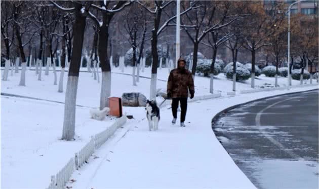 下雪了，你该这样遛狗