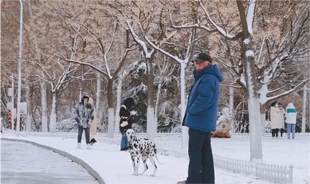 下雪了，你该这样遛狗