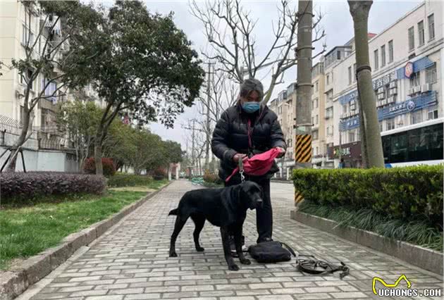 导盲犬不能在小区排尿？视障阿姨哭诉，邻居烦恼！总算有办法了