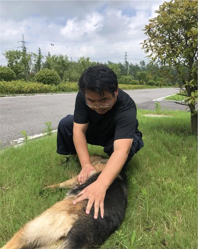 田千鹤：一名出色的追踪犬训导员