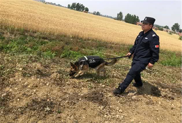 田千鹤：一名出色的追踪犬训导员