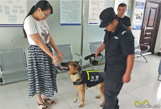 田千鹤：一名出色的追踪犬训导员