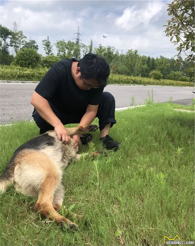 田千鹤：一名出色的追踪犬训导员