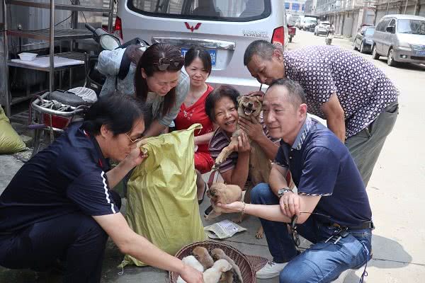 新闻追踪丨真幸运！雨夜落仔的一窝狗狗有了新主人