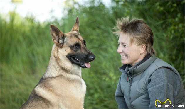 我国主要的警犬都有哪些