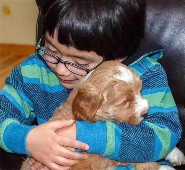 狗狗突然绝食:没想到它也会患上抑郁症