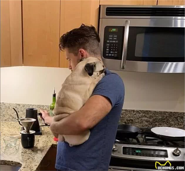 狗狗突然绝食:没想到它也会患上抑郁症