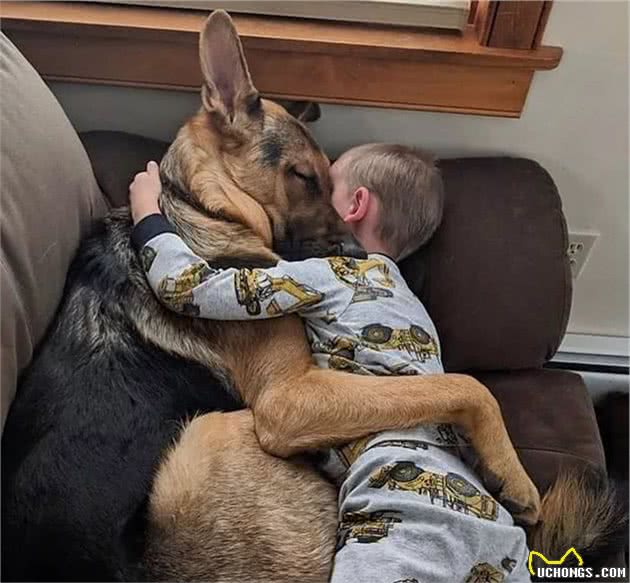 狗狗突然绝食:没想到它也会患上抑郁症