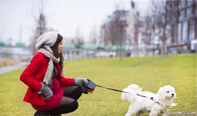 狗狗不听话，是小时候没教好，训犬师给8个建议纠正狗坏习惯