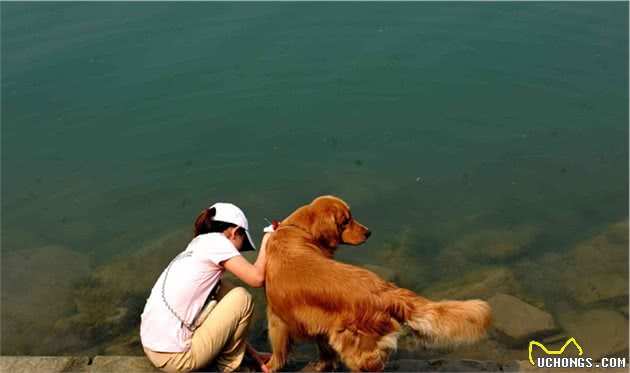 狗狗不听话，是小时候没教好，训犬师给8个建议纠正狗坏习惯