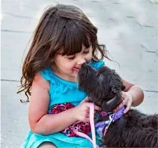 狗狗正在偷偷爱你的5种行为,中三条以上的宠友,真的很幸福