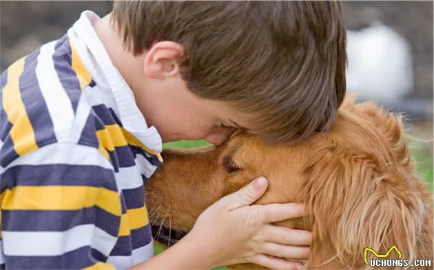 不要给狗狗穿衣服,你觉得很好玩,狗狗并不喜欢