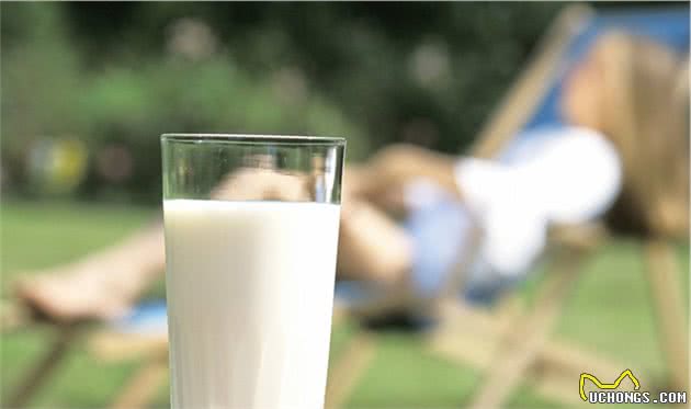 不要给狗狗穿衣服,你觉得很好玩,狗狗并不喜欢