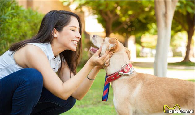 狗狗胆小不敢见人，也不跟其他狗玩耍，训犬师教你养成自信狗狗