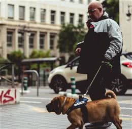 端午小长假携犬出行，铲屎官你准备好了吗？