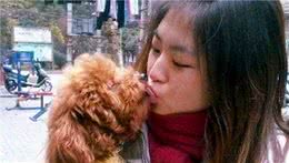 泰迪犬为何总爱舔人？它只是想告诉你这5件事，希望每个主人都懂