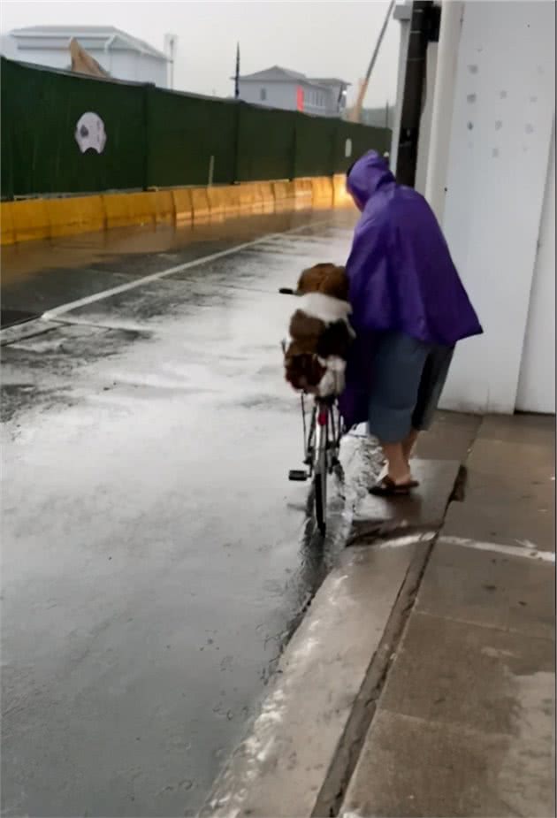 下雨天，网友跟一只陌生狗狗一起躲雨，但躲着躲着……心碎一地