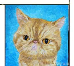 「油画猫咪赏析」讲解不同品种猫咪特征（一）