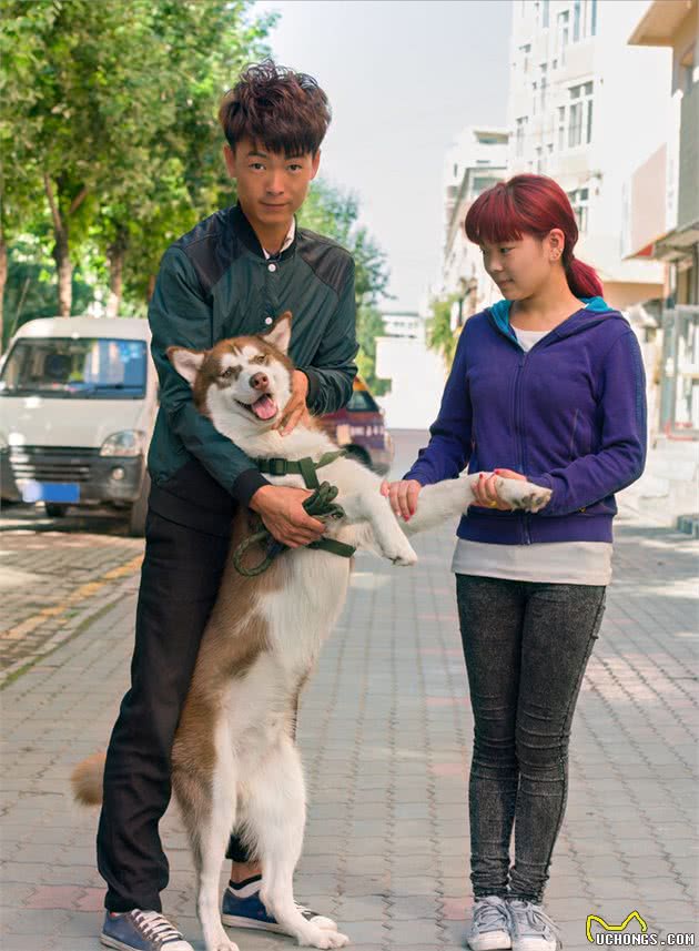 狗狗这些动作，是向你求救，别让你的无知害了它