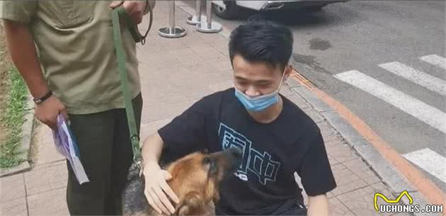 54只淘汰警犬全部找到新家，其中一只小德牧拍出33万天价