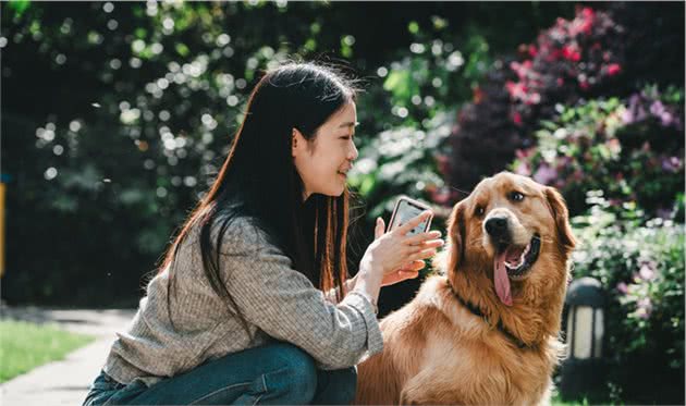 训练狗狗其实并不难，“因狗制宜”用对方法才能成功