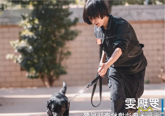 警犬执勤时“偷吃”水果，没想到才上班几天，就立了大功