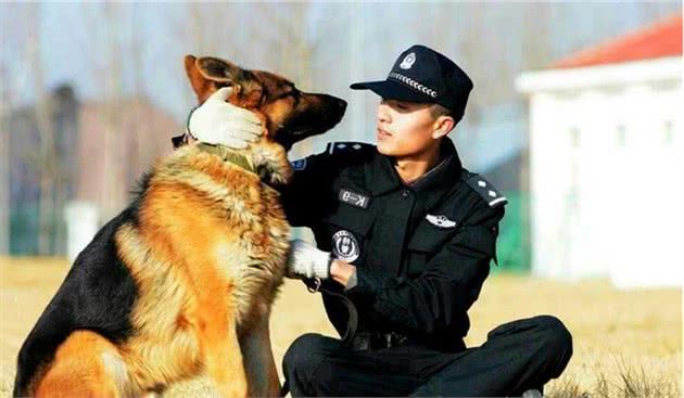 中国警犬添加新成员了！这几种狗狗你认识吗？