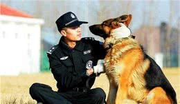 中国警犬添加新成员了！这几种狗狗你认识吗？