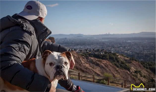 克莱和他的爱犬Rocco：一起度过的漫长岁月