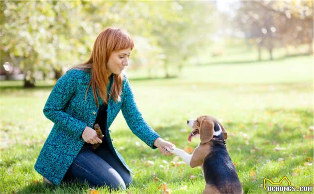 训练一只狗要多久？训犬师说是一生，这8个建议能加快